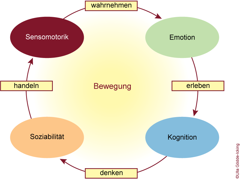 Prozesse der Psychomotorik
